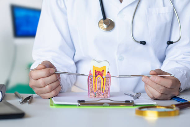 Best Chipped Tooth Repair Near Me  in Cedar Hill, TX
